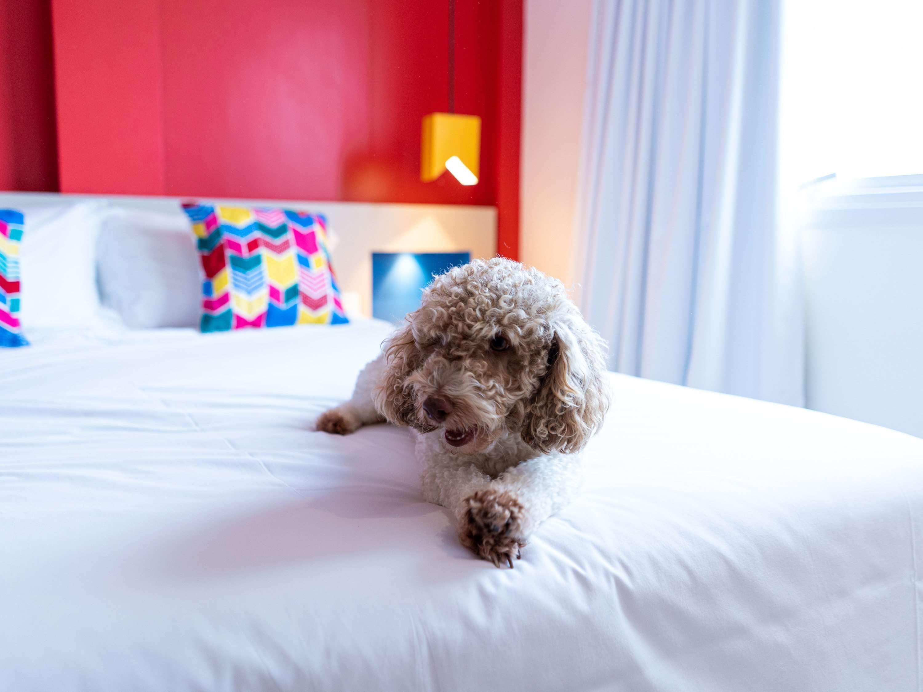 Hotel Ibis Styles Campina Grande Zewnętrze zdjęcie